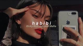 Ricky Rich x ARAM Mafia  Habibi slowed  reverb [upl. by Evania526]