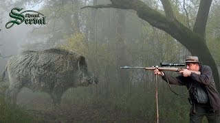 Wild Boar Hunting in Baranya –Part 2 Perfect shots Wildschweinejagd Pirsch in Baranja  2 [upl. by Malet]