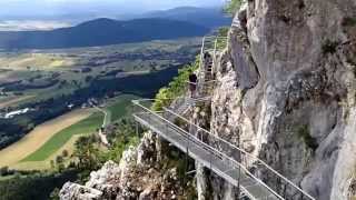 Felsenpfad in Hohe Wand Lower Austria [upl. by Yzzik]