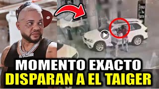 ESTO PASO Disparan a El Taiger video MOMENTO EXACTO es real El Taiger cómo está LA VERDAD [upl. by Leckie]