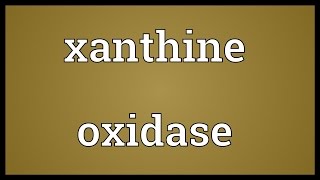 Xanthine oxidase Meaning [upl. by Weissman]