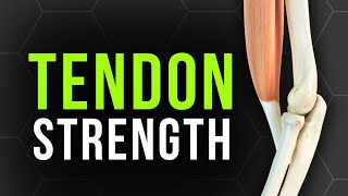 How to Really Strengthen Your Tendons  The 70 Rule [upl. by Tremayne506]