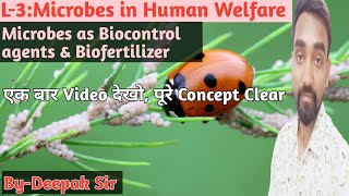 L3Microbes in Human WelfareMicrobes as Biocontrol AgentsBiofertilizersAphidsLady BirdBt12th [upl. by Ahsekat]