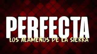 LETRA Perfecta  Los Alameños de la Sierra [upl. by Enirrok716]