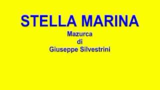 Ballo liscio STELLA MARINA Mazurca di Silvestrini [upl. by Artinad950]