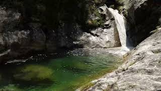 Flowing Stream in the Forest for Relaxation Calm and Peaceful Sleep [upl. by Brion258]