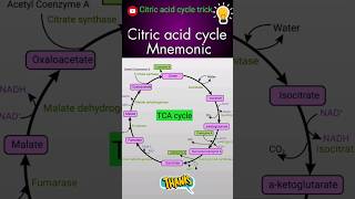 Citric acid cycle mnemonic Hindi  How to remember citric acid cycle easily biology shortsfeed [upl. by Egoreg972]