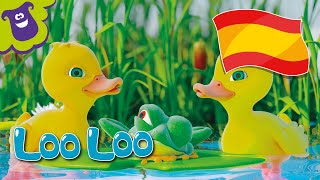 Cinco patitos  Rimas y canciones infantiles  LooLoo [upl. by Vesta]