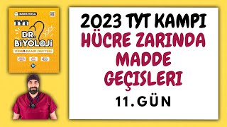 11Hücre Zarında Madde Geçişleri TYT Biyoloji Kampı Konu Anlatımı 9Sınıf 2023 Tayfa [upl. by Torres281]