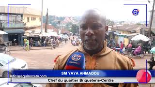 YAOUNDÉ  DÉTRANGES INSECTES ENVAHISSENT LE QUARTIER BRIQUETERIE  EQUINOXE TV [upl. by Ainala]