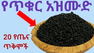 የጥቁር አዝሙድ 20 የጤና ጥቅሞች20 Health Benefits of Black seed [upl. by Ormond]