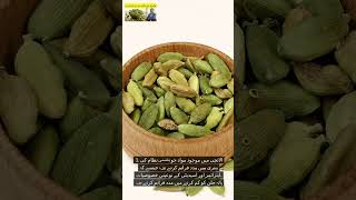 2M elaichi benefits elaichi ke fayde nutrients in cardemum shorts Haider Ali Cooking food [upl. by Africa]