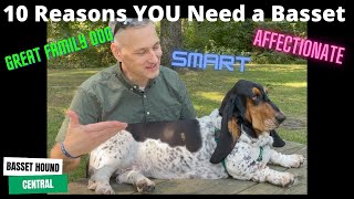 Basset Hound  10 Reasons YOU Need a Basset Hound [upl. by Ardnuek]