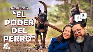 Salmo 2220 ¿Cuál es “el poder del perro” [upl. by Colley381]