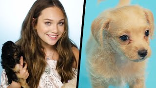 Maddie Ziegler Plays With Puppies While Answering Fan Questions [upl. by Barclay103]