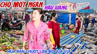 Quá Đông CHỢ MỘT NGÀN HẬU GIANG MÙA RẮN CHUỘT LÊN BỜ Bà Con CHỢ CÁ BÀY LA LIỆT XỔ RẺ  Quá Vui KPVL [upl. by Silecara489]