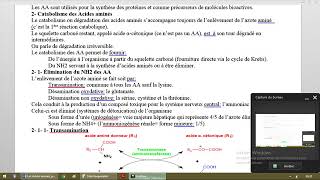 Métabolisme des acides aminés [upl. by Laroy]