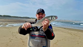 Seaton Carew Bass Fishing [upl. by Burdett298]