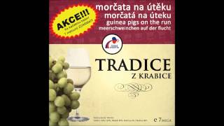 Morčata na útěku  Mix dva tisíce třináct Tradice z krabice 2013 [upl. by Enileda]