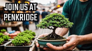 Come with us to the new Bonsai Event at Penkridge Markets [upl. by Anitac130]