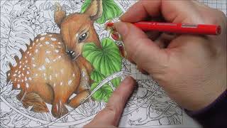 Rehkitz  warmth  fawn Part2  Mythographic Wild Winter  Coloring Book by Joseph Catimbang [upl. by Evetta185]