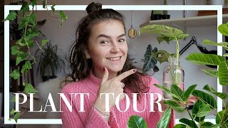 PLANT TOUR  TIPS  Kim van Haren [upl. by Bandler]