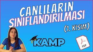 CANLILARIN SINIFLANDIRILMASI 1 KISIM FULL TEKRAR TYT 2025 [upl. by Demetria]