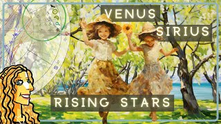 Venus Retrograde amp Sirius Rising Stars  All Signs Tarot  August 2023  2024 [upl. by Atnicaj]