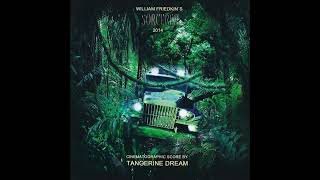 Tangerine Dream SORCERER cinematographic score 2022 mix [upl. by Mighell]