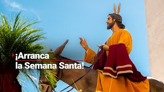 Domingo de Ramos ¡Arranca la Semana Santa Fieles llevan sus palmas a bendecir ¿Qué significa [upl. by Kessia27]