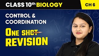 Control and Coordination  One Shot Revision  Class 10 Biology Chapter 6  CBSE 202425 [upl. by Lladnik133]