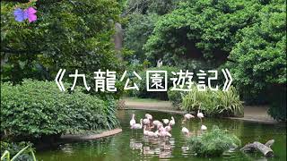 香港九龍公園遊記｜學寫遊記‧範文連筆記｜曦尹讀書會X HEYOUTUTOR [upl. by Eelyac]