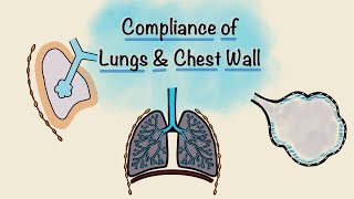 Lung and Chest wall Compliance  Breathing Mechanics  Respiratory Physiology [upl. by Jaal975]