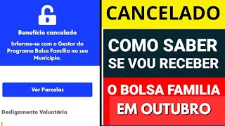 BOLSA FAMÍLIA CANCELADO COMO SABER SE VAI RECEBER EM OUTUBRO [upl. by Ellerey]