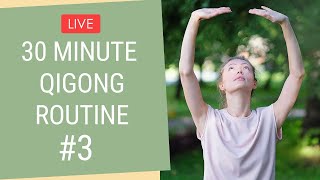 30 Minute Qigong Routine  Qigong Exercises for Beginners [upl. by Ashia]