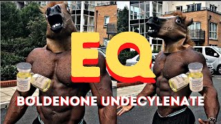 EQ Boldenone Undecylenate Review  Lean Gains amp No AI [upl. by Eibot299]