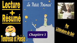 1  Le Petit Prince  livre audio  Chapitre 1 à 4  lecture et résumé [upl. by Yhtir751]