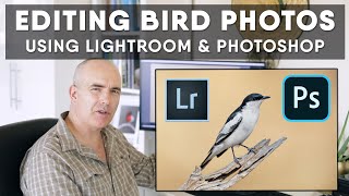 Editing Bird Photos In Lightroom amp Photoshop  How I Select Edit Process Raw File Start to Finish [upl. by Sitrik346]