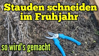 Stauden schneiden im Garten Stauden im Frühjahr zurückschneiden so wirds gemacht [upl. by Tekcirc855]