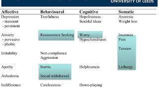 Mental Health in Primary Care  Allan House [upl. by Ekez]