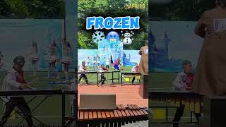 Frozen themed drill by Capalonga Central School Marching Stallions 🥶❄️☃️🧊DLC Frozen Capalonga [upl. by Isobel221]