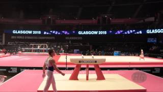 PETROUNIAS Eleftherios GRE  2015 Artistic Worlds  Qualifications Pommel Horse [upl. by Cassius]