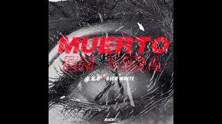 MUERTO EN VIDA VISUALIZER  RICH WHITE FT CRO PROD KALEM [upl. by Dekow]