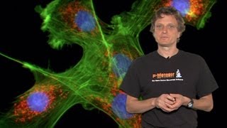 Microscopy Introduction to Fluorescence Microscopy Nico Stuurman [upl. by Odraccir339]