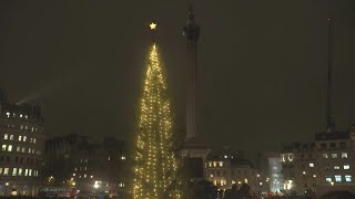 Norwegian tree lights up Londons Trafalgar Square  AFP [upl. by Mathi]