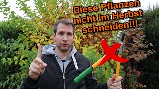 Pflanzen amp Gehölze die man im Herbst 𝐧𝐢𝐜𝐡𝐭 schneiden sollte [upl. by Luther118]