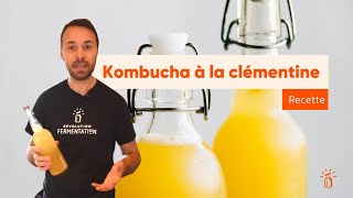 Recette de kombucha à la clémentine [upl. by Zoe512]