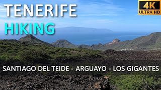 Tenerife Hiking From Santiago Del Teide via Arguayo to Los Gigantes [upl. by Cerallua677]