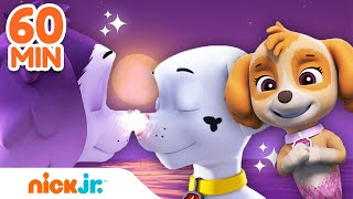 Patrulha Canina  Resgates de SEREIAS da Patrulha Canina 🧜‍♀️  Compilação de 60 Minutos  Nick Jr [upl. by Pelagias]