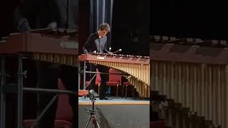 Alexander Vichev Victor Vichev Sejourne Marimba Concerto [upl. by Ynaffyt]